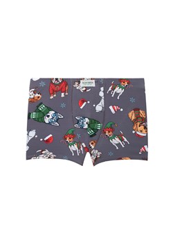 Bokserki chłopięce Husky ze sklepu italianfashion w kategorii Majtki dziecięce - zdjęcie 187690160