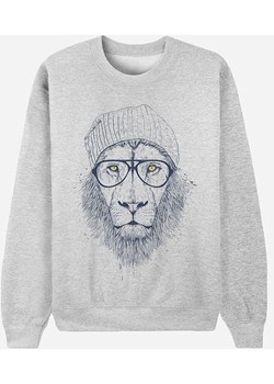 WOOOP Bluza &quot;Cool Lion&quot; w kolorze szarym ze sklepu Limango Polska w kategorii Bluzy damskie - zdjęcie 187710853