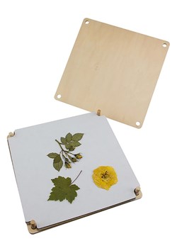 BLS Praska do odbijania kwiatów - 30 x 30 cm ze sklepu Limango Polska w kategorii Zabawki - zdjęcie 187716921