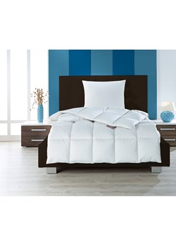 Häussling Bettwaren Poduszka &quot;Moschus Royal - soft&quot; w kolorze srebrnoszarym ze sklepu Limango Polska w kategorii Poduszki dekoracyjne - zdjęcie 187735221