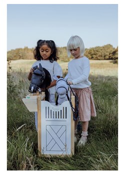 ASTRUP Boks dla 2 koni na kiju - 3+ ze sklepu Limango Polska w kategorii Zabawki - zdjęcie 187739553