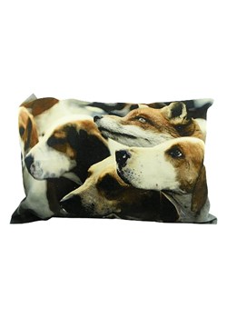 Mars &amp; More Poduszka ze wzorem - 50 x 10 x 35 cm ze sklepu Limango Polska w kategorii Poduszki dekoracyjne - zdjęcie 187765871