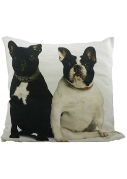 Mars &amp; More Poduszka &quot;French Bulldogs&quot; w kolorze czarno-białym - 50 x 50 cm ze sklepu Limango Polska w kategorii Poduszki dekoracyjne - zdjęcie 187765880