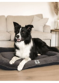 Paws&amp;Whiskers Legowisko &quot;Sally&quot; w kolorze antracytowym dla zwierząt ze sklepu Limango Polska w kategorii Dla zwierząt - zdjęcie 187779384