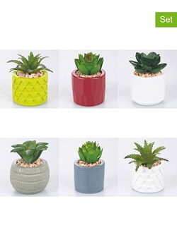 Villa d´Este Sztuczne rośliny (6 szt.) w różnych kolorach - wys. 8 x Ø 5,8 cm ze sklepu Limango Polska w kategorii Doniczki i osłonki - zdjęcie 187791722