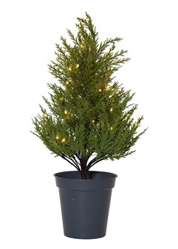 STAR Trading Choinka LED &quot;Thuja&quot; w kolorze zielonym - 55 x 28 cm ze sklepu Limango Polska w kategorii Dekoracje bożonarodzeniowe - zdjęcie 187795111