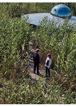 Reserved - Sweter z aplikacją - wielobarwny ze sklepu Reserved w kategorii Swetry dziewczęce - zdjęcie 187824034