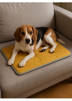 Paws&amp;Whiskers Mata termiczna w kolorze zielonym ze sklepu Limango Polska w kategorii Dla zwierząt - zdjęcie 187830470