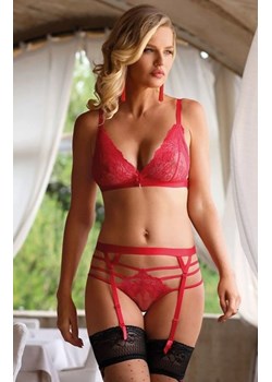 Cyria czerwony pas do pończoch niski ze sklepu intimiti.pl w kategorii Akcesoria do bielizny - zdjęcie 187866824