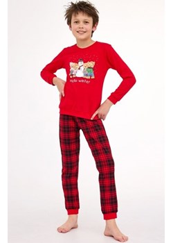 Cornette 966/171 Young Bears piżama chłopięca ze sklepu intimiti.pl w kategorii Piżamy dziecięce - zdjęcie 187880092