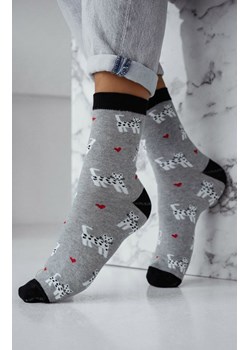 Skarpetki damskie Małe kotki i serduszka 0200.196, Kolor szaro-czarny, Rozmiar 37-41, Milena ze sklepu Primodo w kategorii Skarpetki damskie - zdjęcie 187963324