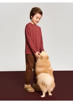 Sinsay - Bawełniana koszulka 5 pack - kremowy ze sklepu Sinsay w kategorii T-shirty chłopięce - zdjęcie 187987060