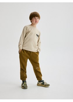 Reserved - Spodnie jogger z ociepleniem - brązowy ze sklepu Reserved w kategorii Spodnie chłopięce - zdjęcie 188003034