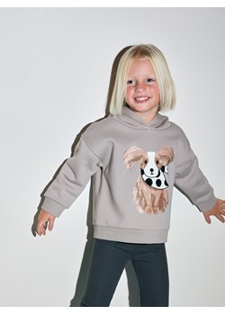 Reserved - Bluza z aplikacją - jasnoszary ze sklepu Reserved w kategorii Bluzy dziewczęce - zdjęcie 188008894