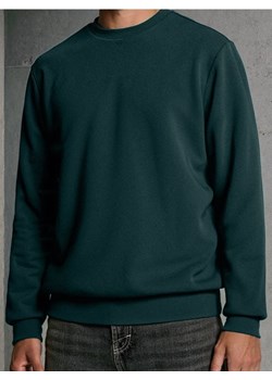 Sinsay - Bluza z długim rękawem - zielony ze sklepu Sinsay w kategorii Bluzy męskie - zdjęcie 188036872