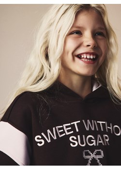 Reserved - Bluza z haftem - ciemnobrązowy ze sklepu Reserved w kategorii Bluzy chłopięce - zdjęcie 188096363