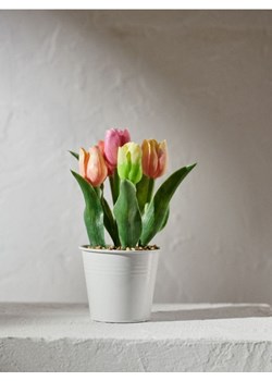 Sinsay - Roślina dekoracyjna w doniczce - tulipany - wielobarwny ze sklepu Sinsay w kategorii Dekoracje - zdjęcie 188112013