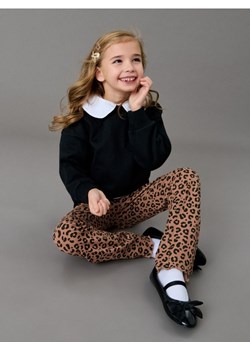 Sinsay - Spodnie flare ze wzorem w panterkę - wielobarwny ze sklepu Sinsay w kategorii Spodnie dziewczęce - zdjęcie 188123892