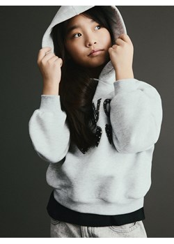 Reserved - Bluza z apikacją - jasnoszary ze sklepu Reserved w kategorii Bluzy dziewczęce - zdjęcie 188126341