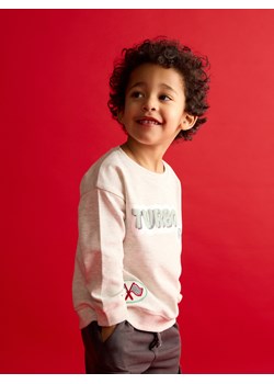 Reserved - Bawełniany longsleeve z nadrukiem - jasnoszary ze sklepu Reserved w kategorii T-shirty chłopięce - zdjęcie 188133994