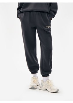 Sinsay - Spodnie dresowe jogger - szary ze sklepu Sinsay w kategorii Spodnie męskie - zdjęcie 188143932