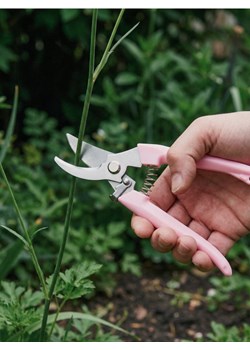 Sinsay - Sekator ogrodowy - różowy ze sklepu Sinsay w kategorii Pozostałe wyposażenie ogrodowe - zdjęcie 188151323