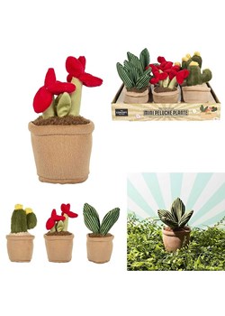 The Home Deco Kids Maskotka "Kawaii Plant" - 0+ (produkt niespodzianka) ze sklepu Limango Polska w kategorii Zabawki - zdjęcie 188160541