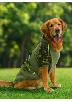 Paws&amp;Whiskers Bluza w kolorze khaki dla psa ze sklepu Limango Polska w kategorii Dla zwierząt - zdjęcie 188165141