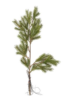 Bloomingville Gałązka dekoracyjna w kolorze zielonym - dł. 56 cm ze sklepu Limango Polska w kategorii Doniczki i osłonki - zdjęcie 188165874