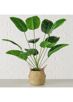 Boltze Sztuczna roślina w kolorze zielono-jasnobrązowym - wys. 68 cm ze sklepu Limango Polska w kategorii Doniczki i osłonki - zdjęcie 188187064