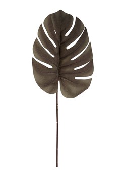 Present Time Sztuczna roślina "Monstera Stem" w kolorze czarnym - wys. 61 cm ze sklepu Limango Polska w kategorii Doniczki i osłonki - zdjęcie 188202904