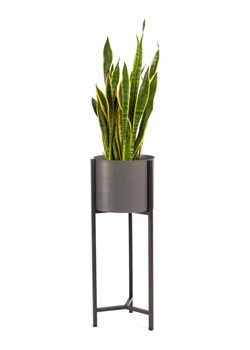 Lifa Living Stojak "Delphine" w kolorze szarym na rośliny - wys. 70 cm ze sklepu Limango Polska w kategorii Doniczki i osłonki - zdjęcie 188225771