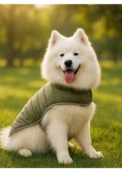 Sinsay - Kostium dla psa - khaki ze sklepu Sinsay w kategorii Dla zwierząt - zdjęcie 188283193