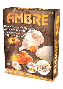 Ulysse Zestaw wykopaliskowy "Ambre" - 6+ ze sklepu Limango Polska w kategorii Zabawki - zdjęcie 188292800