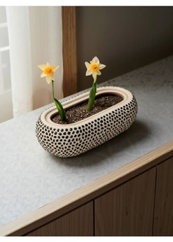 Sinsay - Doniczka - wielobarwny ze sklepu Sinsay w kategorii Doniczki i osłonki - zdjęcie 188332394