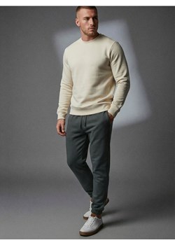 Sinsay - Spodnie dresowe jogger - szary ze sklepu Sinsay w kategorii Spodnie męskie - zdjęcie 188339770