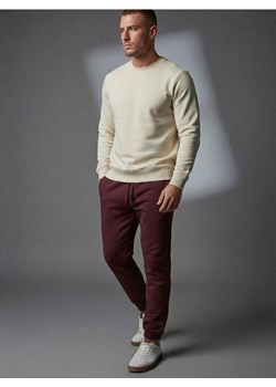 Sinsay - Spodnie dresowe jogger - bordowy ze sklepu Sinsay w kategorii Spodnie męskie - zdjęcie 188339771