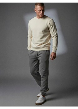 Sinsay - Spodnie dresowe jogger - szary ze sklepu Sinsay w kategorii Spodnie męskie - zdjęcie 188339772
