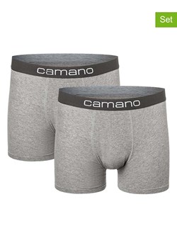 camano Bokserki (2 pary) w kolorze szarym ze sklepu Limango Polska w kategorii Majtki męskie - zdjęcie 188342764