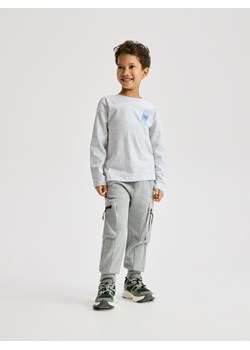 Reserved - Bawełniany longsleeve - jasnoszary ze sklepu Reserved w kategorii T-shirty chłopięce - zdjęcie 188373350