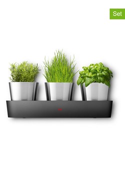 Silit 4-częściowy zestaw "Collexio" w kolorze srebrnym na zioła ze sklepu Limango Polska w kategorii Doniczki i osłonki - zdjęcie 188375601
