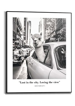 Orangewallz Druk artystyczny "Alpaca New York" w ramce ze sklepu Limango Polska w kategorii Obrazy - zdjęcie 188394222
