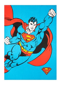 Trendy Kitchen by EXCÉLSA Ściereczka "Supereroi" w kolorze czerwono-błękitnym do naczyń - 70 x 50 cm ze sklepu Limango Polska w kategorii Ścierki kuchenne - zdjęcie 188453844