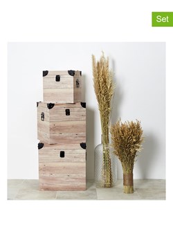 Ethnical Life Skrzynie (3 szt.) w kolorze jasnobrązowym do przechowywania ze sklepu Limango Polska w kategorii Pojemniki kuchenne - zdjęcie 188464374