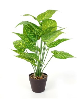 Garden Spirit Sztuczna roślina - wys. 55 x Ø 13 cm (produkt niespodzianka) ze sklepu Limango Polska w kategorii Doniczki i osłonki - zdjęcie 188464463