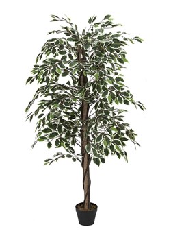 Garden Spirit Sztuczna roślina w kolorze zielonym - 80 x 170 cm ze sklepu Limango Polska w kategorii Doniczki i osłonki - zdjęcie 188464472