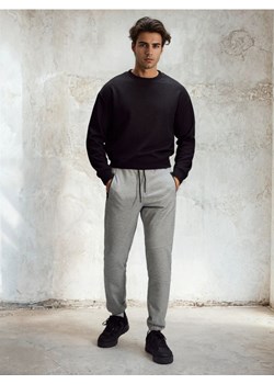 Sinsay - Spodnie dresowe jogger - szary ze sklepu Sinsay w kategorii Spodnie męskie - zdjęcie 188483112