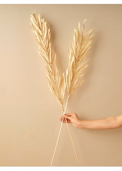 BELLA MAISON Suszona roślina "Linden Dal" w kolorze beżowym - wys. 100 cm ze sklepu Limango Polska w kategorii Doniczki i osłonki - zdjęcie 188489942