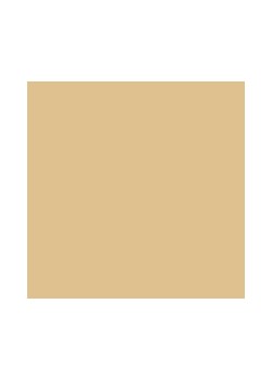 Koszulka męska polo beżowa Wladym 801 ze sklepu Big Star w kategorii T-shirty męskie - zdjęcie 188528221