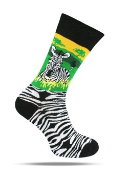 Skarpetki Bawełniane - Tematyczne - Zebra SKEMACSHSTR0164zebra ze sklepu JegoSzafa.pl w kategorii Skarpetki męskie - zdjęcie 188531532